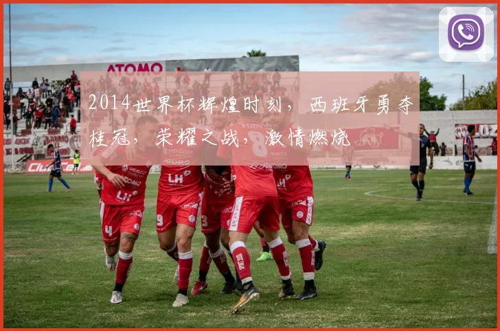 2014世界杯辉煌时刻，西班牙勇夺桂冠，荣耀之战，激情燃烧